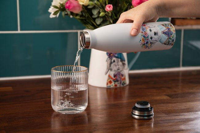 d360f032dc31ac8e279b84b48039548e