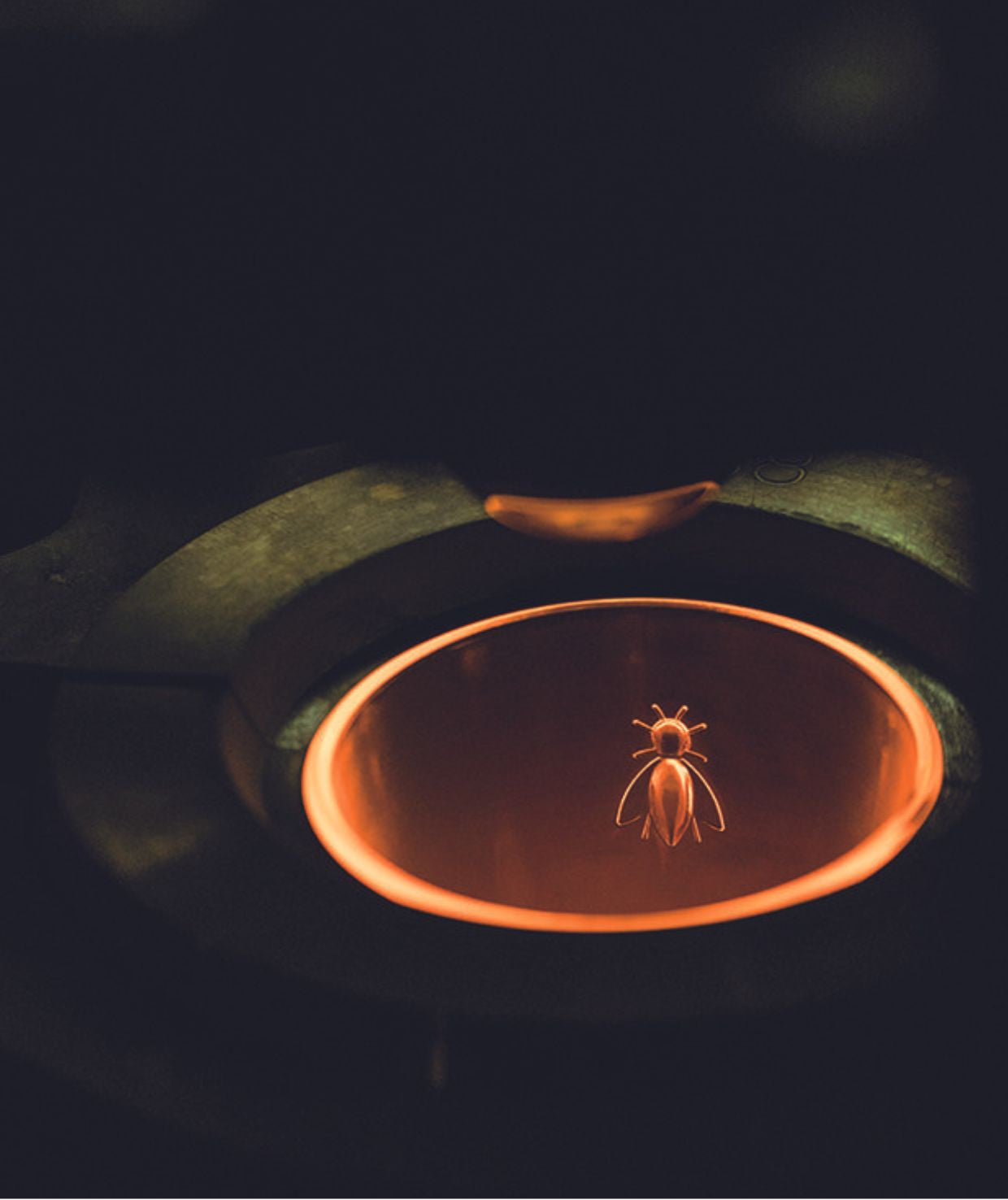 92305c1382b7c4348b487f937109fa81