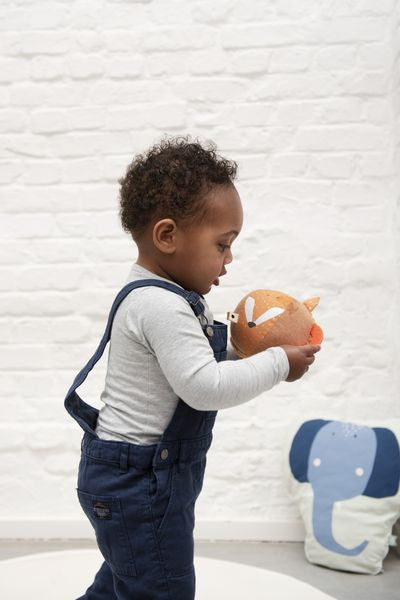 4abd21a346ff3a14526a99792053b673