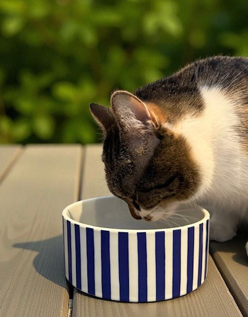 e698c1143b553a7c7f231f0047393504