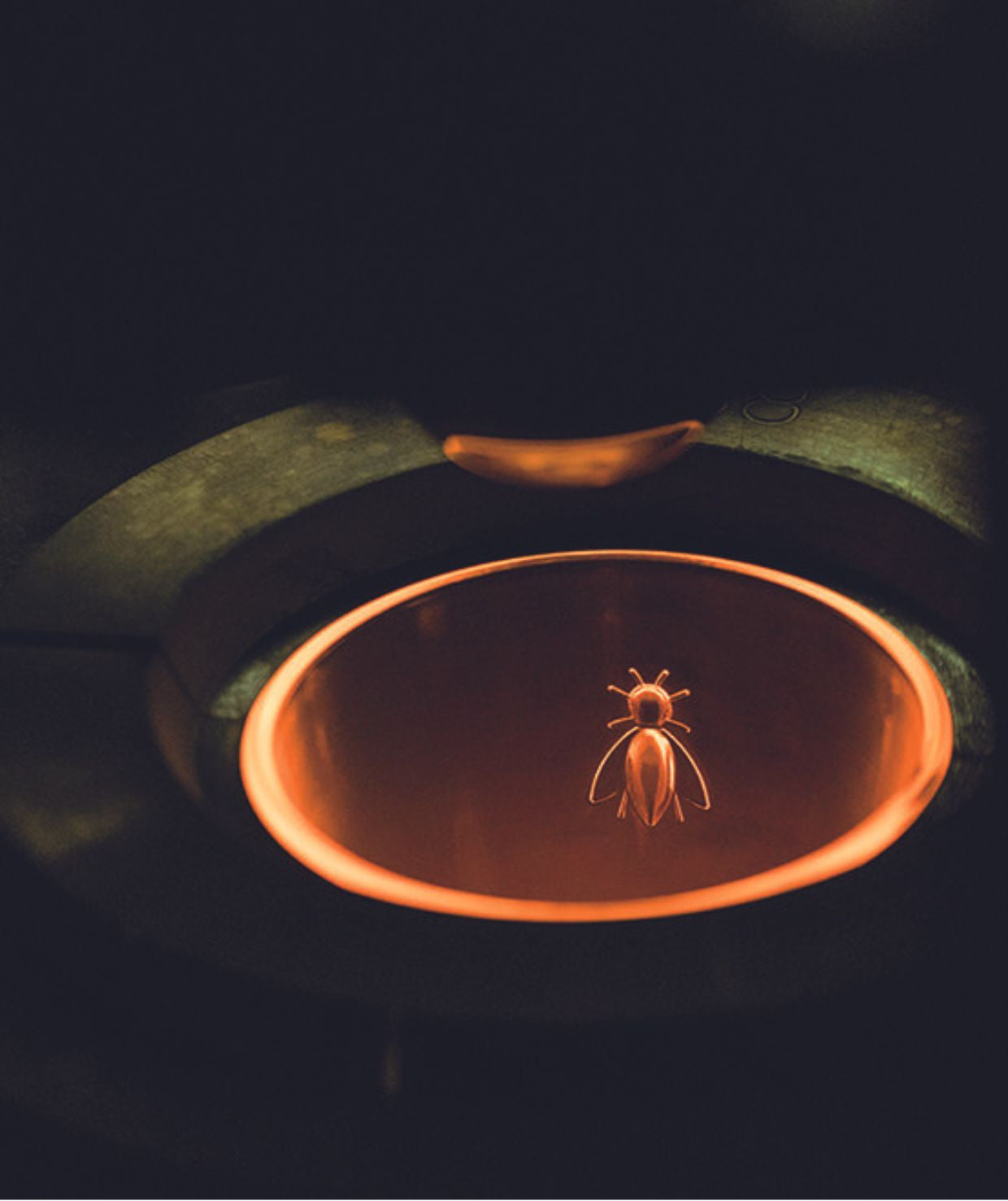 2f962dd3f18f8a2a22a8bda14cdbf613