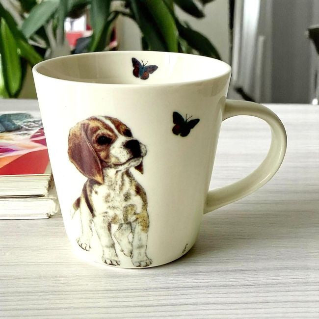 e25bba640cc44c271b12ab4c58bc9af8